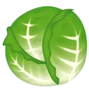 cabbage cabbage