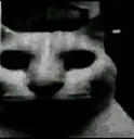 Bro