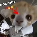 Wowow wowow Discord Emoji