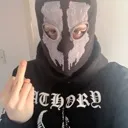 vilemiddlefinger