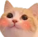 Blushycat blushycat Discord Emoji