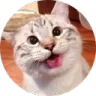 smakHaha