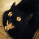 evilcatlikeanyother Discord emoji