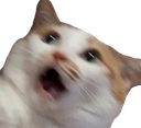 noooeEEEOOUUWW Discord emoji