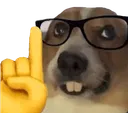 UhmActually
