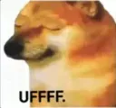 DOGEUFF Discord Emoji