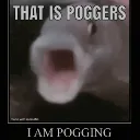 poggers