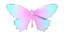 butterfly1