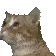 CatBOP