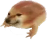chog