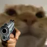 moggiGun