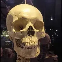 realskull