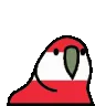 austriaparrot