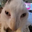 erm