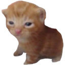 critter Discord emoji