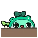 peeking