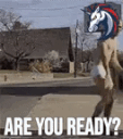 areyouready