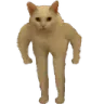 catstand