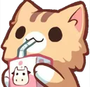 s_cat_drink_eng