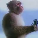 monke
