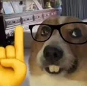 Nerdge