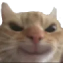 evilcat