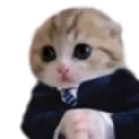 basedcat