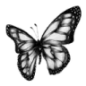 :butterfly: