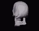 MrBones