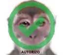20230223_191600