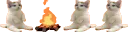 campfir