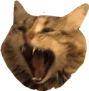 oliver_scream