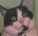 00