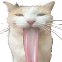 z_licklick_blapblap_blehcat