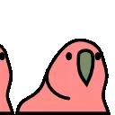 0parrotdancemoves