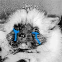 Cryin cryin Discord Emoji