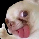 dog_good Discord emoji