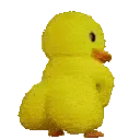 duckass duckass