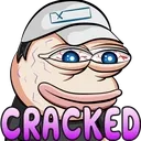 FS_cracked