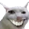 spinXD spinXD