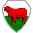 tomjonFlag