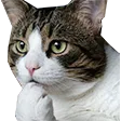 catThink