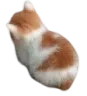 angy