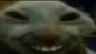 xdd
