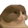 catmunch