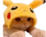 a_chat a_chat