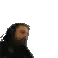 forsenCalculating