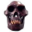 Skuller