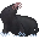 MoleBaby