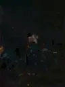 Ravoli_Boom